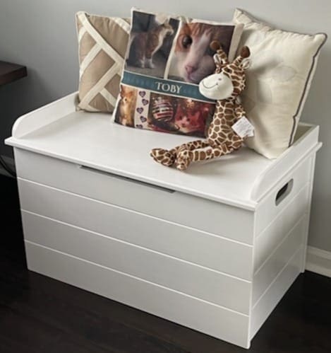 Close up of toy chest