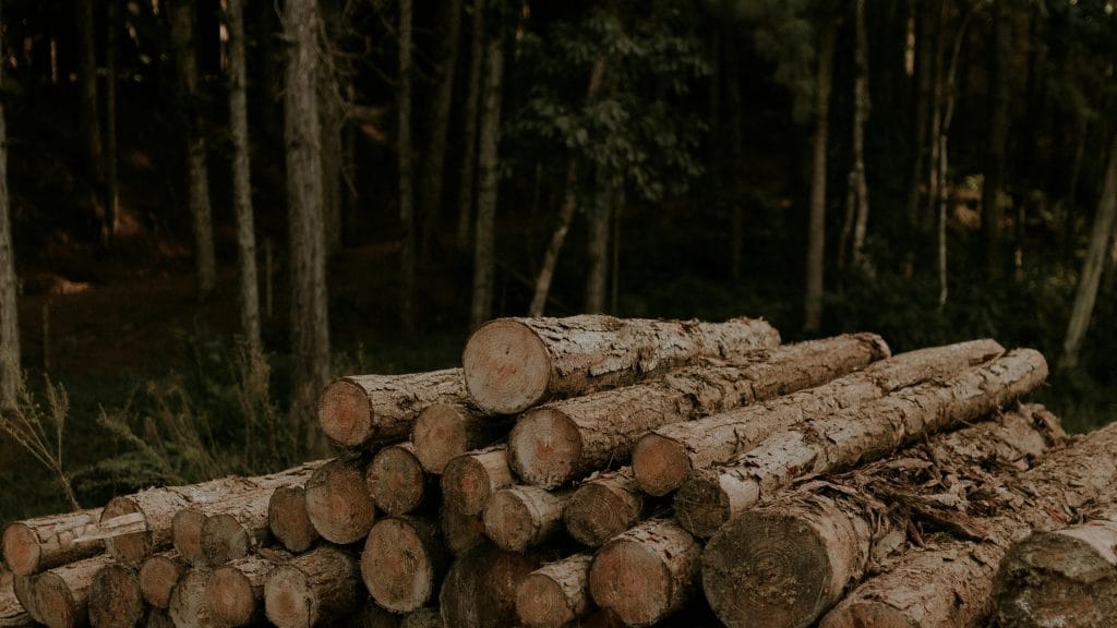 Home - My Time Woodworking Wood pile and trees widescreen2